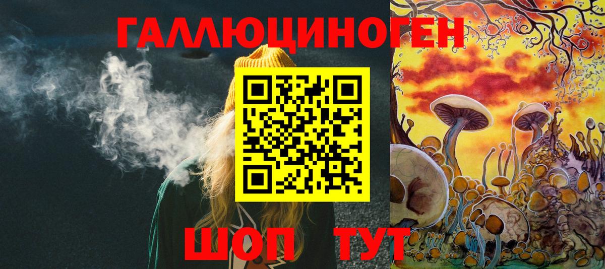 Псилоцибиновые грибы Psilocybe Кулебаки