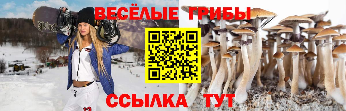 Псилоцибиновые грибы мицелий  Вход с VPN  продажа наркотиков  Кулебаки  Псилоцибиновые грибы MAGIC MUSHROOMS 